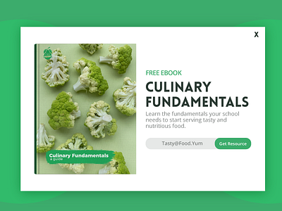 Culinary Fundamentals Popup Ad ads popup