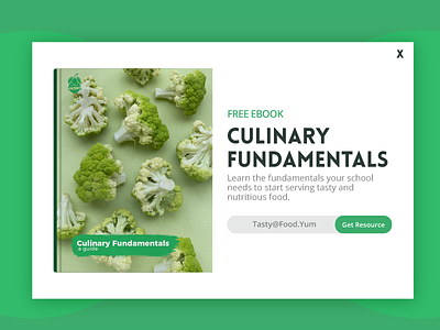 Culinary Fundamentals Popup Ad