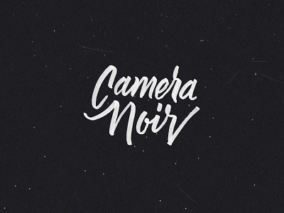 Camera Noir brand brush script lettering logo type typography