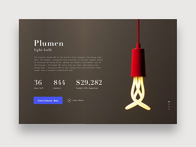 Daily UI 032 - Crowdfunding campaign campaign crowdfunding daily ui dailyui design challenge interaction light product page simple ui ux web