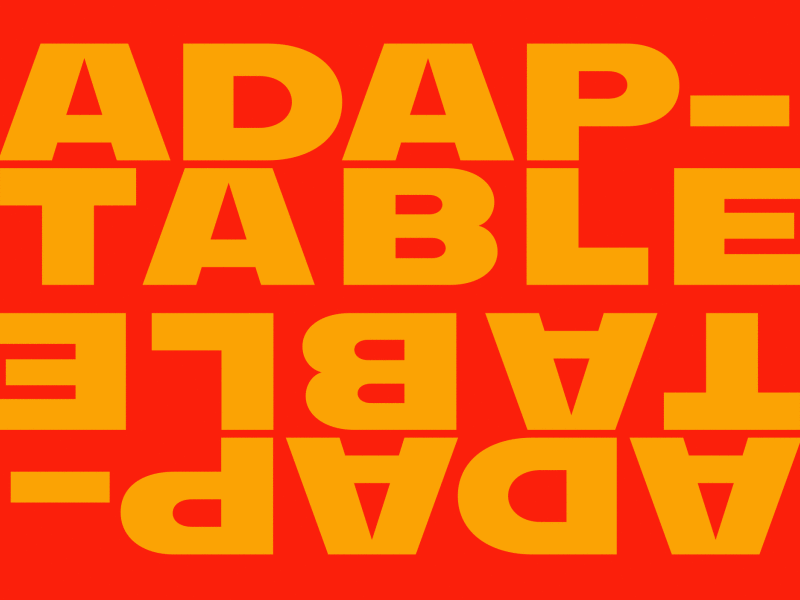 adaptable * animation kinetic type kinetic typography motiongraphics typography