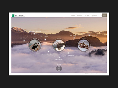 BNP Wealth Management bank banking bnp paribas corporate landing design landing page network technology ui design uidesign wealth management website website design