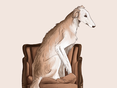 Borzoi borzoi dogs illustration