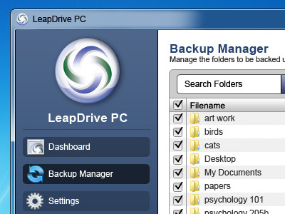 Backup Manager ui