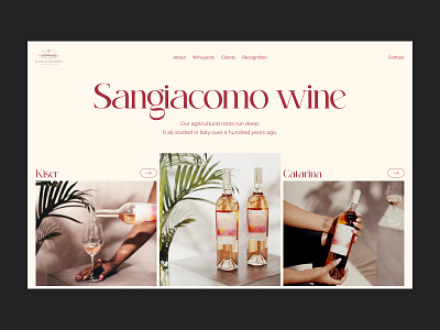 Sangiacomo wine concept design e-commerce header landing landing page minimal minimalistic ui ux uxui vineyard web web design
