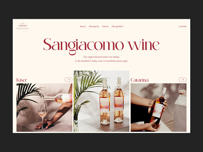 Sangiacomo wine concept design e commerce header landing landing page minimal minimalistic ui ux uxui vineyard web web design