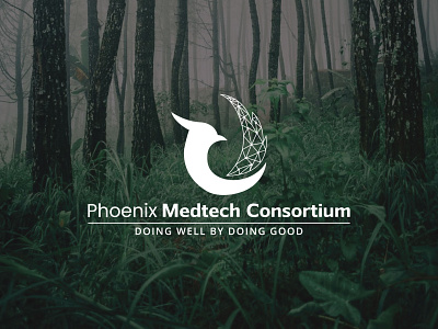 Phoenix logo design logo minimalist logo modern logo phoenix logo design