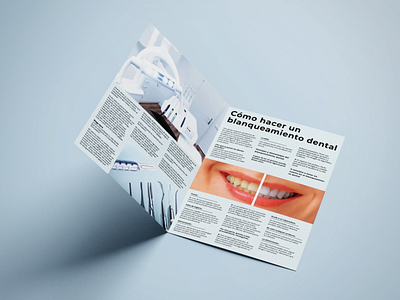 Magazine design with multiple pages brochure design graphics design magazine print design