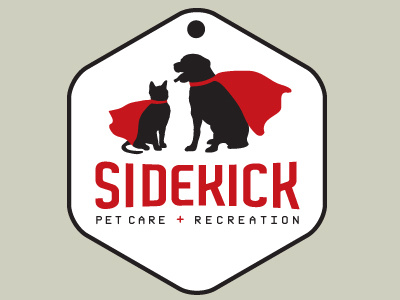 Sidekick Logo