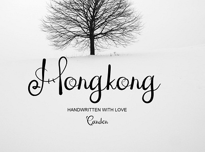 Hongkong branding design font graphic design handwritten fonts illustration logo typeface typography ui