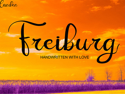 Freiburg branding design font graphic design handwritten fonts illustration logo typeface typography ui