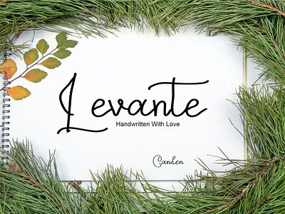 Levante branding design font graphic design handwritten fonts illustration logo typeface typography ui