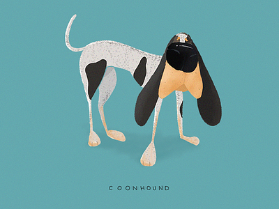 Coonhound character coonhound dog drawn illustration procreate