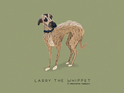 Larry character dog drawn illustration procreate whippet
