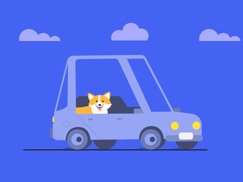 Dog in the car animation car corgi dog illustration motion