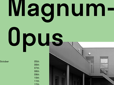 Magnum Opus design flat graphicdesign typography