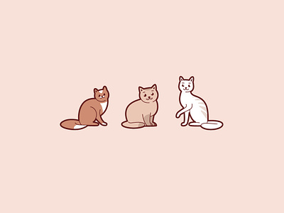 Three cats - thin, medium, thick