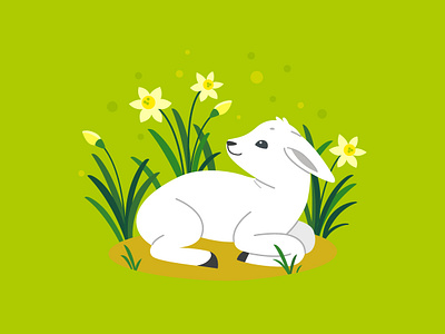 Little Lamb, vector illustration animal animal character cute design flat design illustration lamb little sheep sheep vector vector art vector illustration