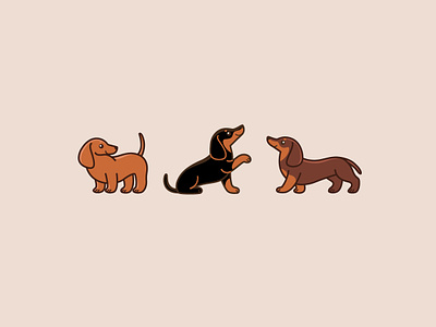 Cartoon dachshund, three dogs - three colors. animal animal character cartoon animal character cute dachshund design dog doodle flat design illustration round vector