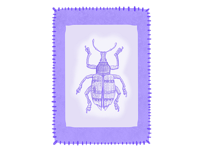 Beetle Things design illustration procreate