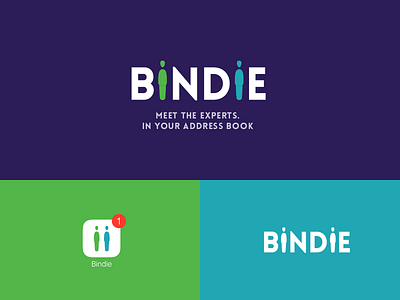 Bindie Logo app icon branding logo