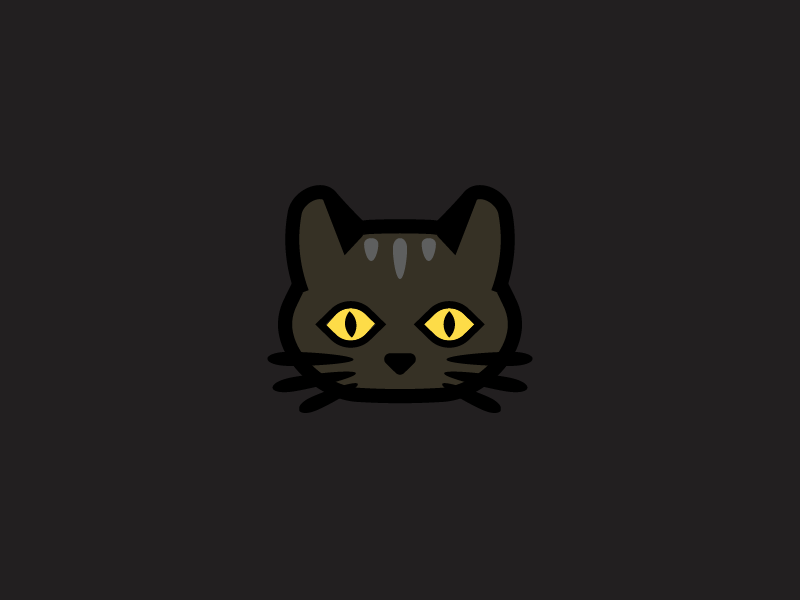 mood of the black cat