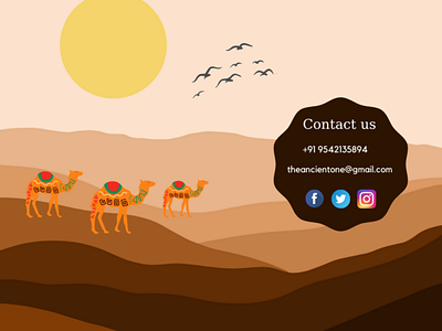 Contact us page camel contact us facebook gmail instagram twitter