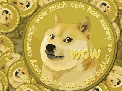 Dogecoin Millionaire | Dribbble