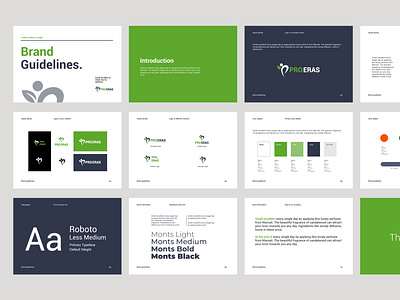 PRO ERAS Brand Guidelines by Boss of Brand on Dribbble