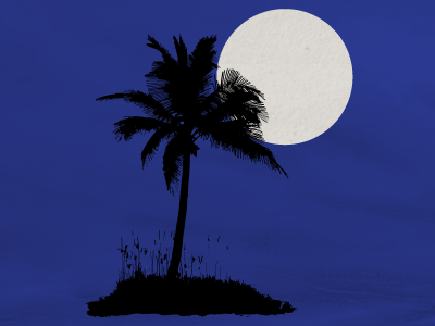 Vector Palm Tree beach palm tree vector