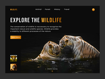 Wildlife Website Header design figma figma design figma designer header design typography ui ux web web design website wildlife