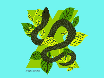 36Days of Type - X 36daysoftype animal illustration conservation design illustration typography