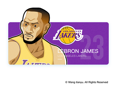 LeBron James Los Angeles Lakers NBA