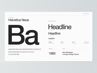 Design Guidelines Part One design guide design system guideliness typography typography scale