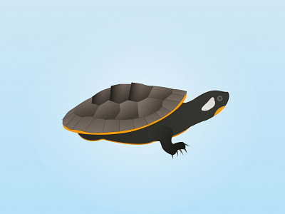 Turtle design illustration turtle vector