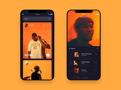 Muzik Vibez Player - Music App Concept -