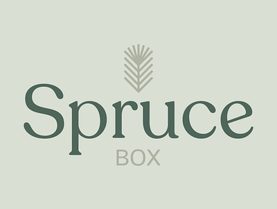 Spruce Box branding design illustrator logo logo design