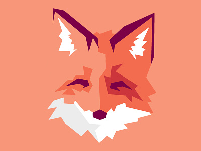 Fox animal fox geometric vulpus