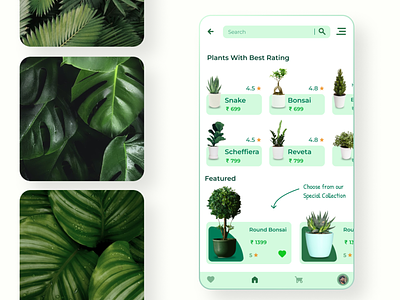 E Commerce App For selling Plants