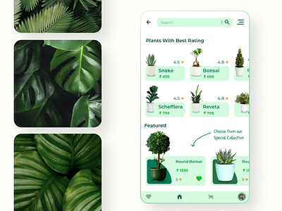 E Commerce App For selling Plants app design design graphic design green color palette green interface illustration mobile app design plant app ui ui design ui designer ui ux application design ux ux design