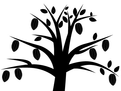 Cacao cacao chocolate illustrator tree vector art