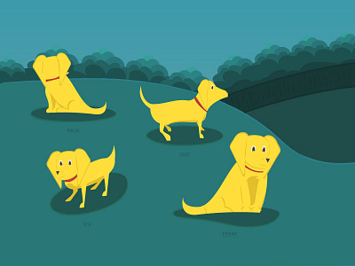 The Walk Animation: Dog angles animation character character design curves illustration illustrator sheet yellow