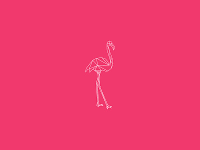 Flamingo flamingo illustration lines