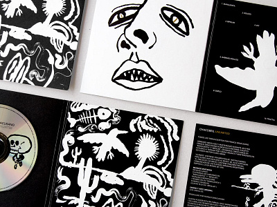Franco Siracusano - Album & identity album bird black cd face identity illustration paint painting poster