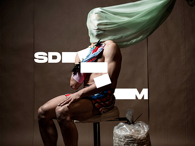 Sdm Logotype