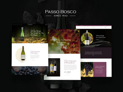 Passo Bosco_ Wine Shop design ui ux web