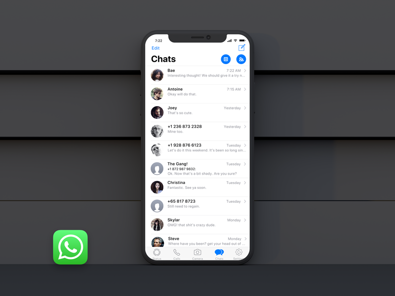 Download Whatsapp iPhoneX iOS11 by Naren🖖 on Dribbble