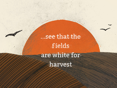 Harvest birds church design farm field gospel harvest illustration john rake restoration
