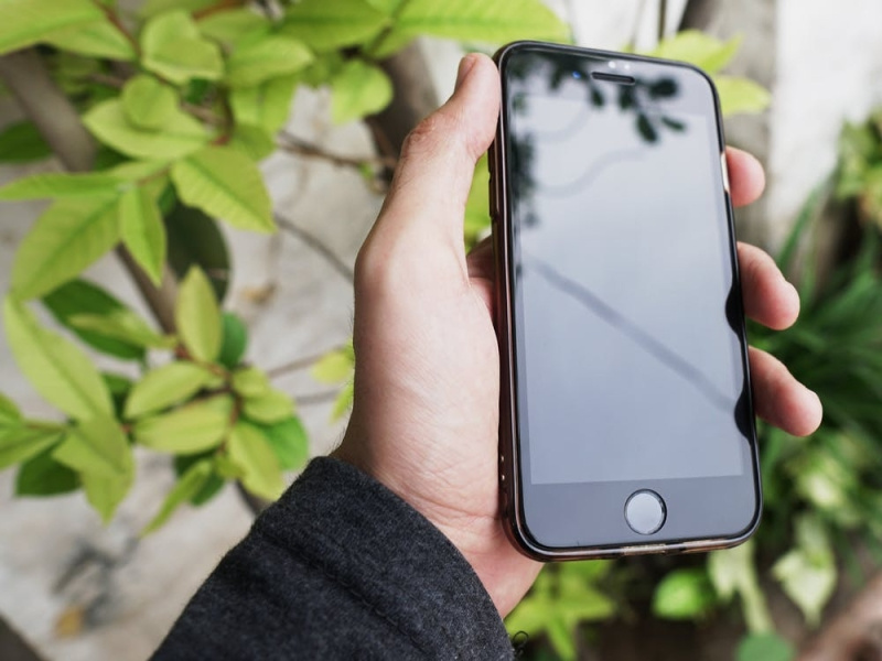 How to get a free food stamp phone by Leadforcareer on Dribbble