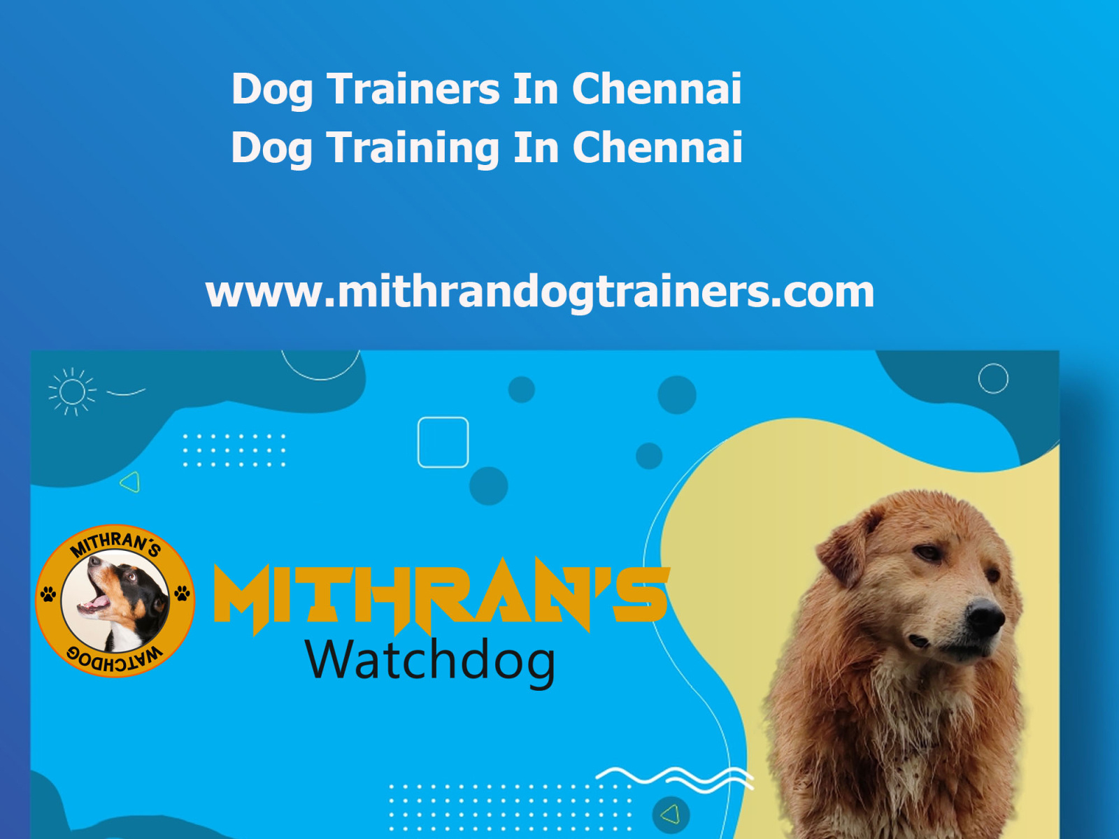 Dog Trainers In Chennai by seo off on Dribbble